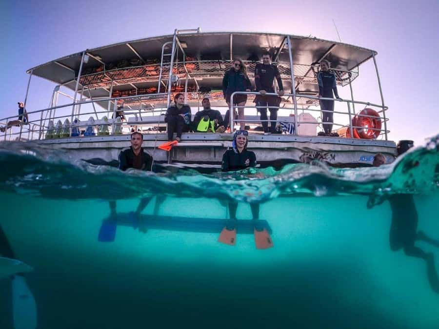 Moreton Island: Tangalooma Day Trip with Snorkeling Tour - Tangalooma Resort gives you a comfortable base