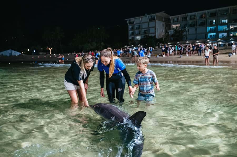 Moreton Island: Tangalooma Desert Safari and Dolphin Feeding - Lunch is flexible, but the voucher has limits