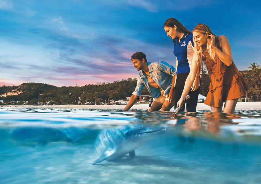 Moreton Island: Tangalooma Snorkeling Tour & Dolphin Feeding - The Brisbane to Moreton Island crossing