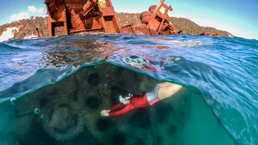 Moreton Island: Tangalooma Snorkeling Tour & Dolphin Feeding - Snorkelling the Tangalooma Wrecks
