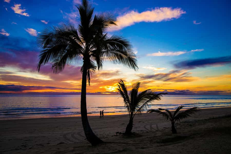 Moreton Island: Tangalooma Snorkeling Tour & Dolphin Feeding - How to use the middle of the day
