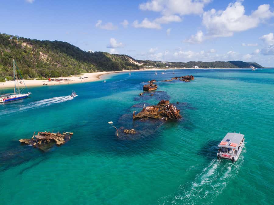Moreton Island: Tangalooma Snorkeling Tour & Dolphin Feeding - Should you book the Tangalooma snorkeling and dolphin day trip?