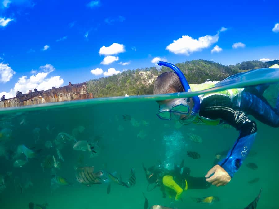 Moreton Island: Tangalooma Snorkelling with Dolphin Viewing - The 75-minute cruise from Brisbane