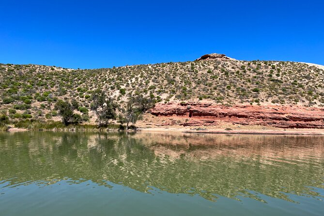 Morning Cruise on the Murchison River in Kalbarri (April to Nov) - A gentle start on the Murchison River