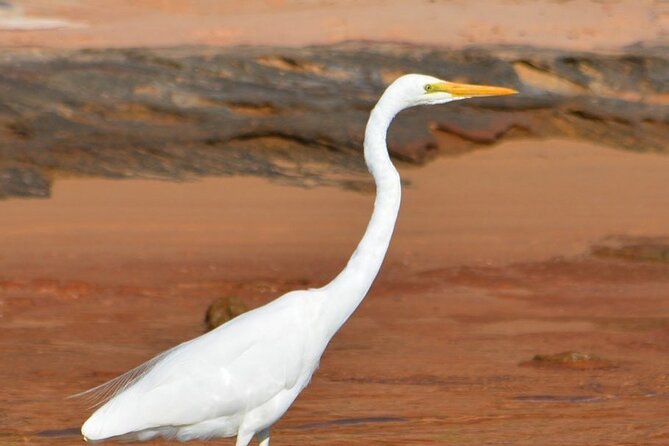 Morning Cruise on the Murchison River in Kalbarri (April to Nov) - What the morning feels like on board