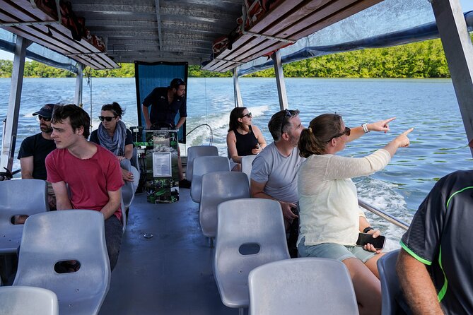 Morning Daintree Tour with River Cruise from Port Douglas - The Daintree River cruise is about patience