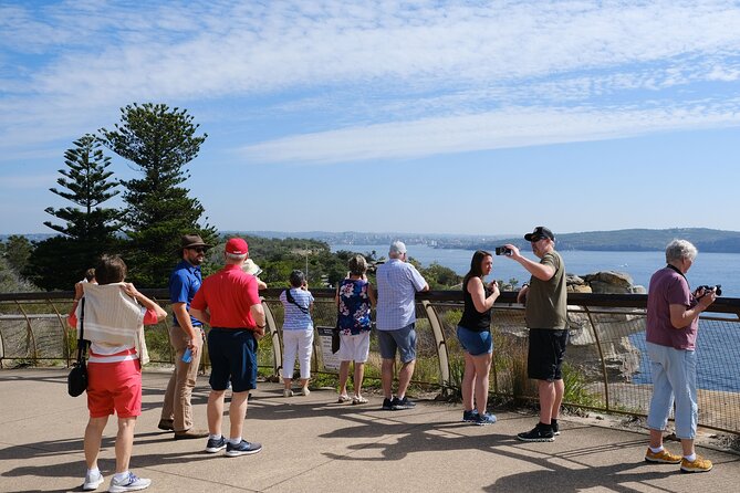 Morning or Afternoon Half-Day Sydney City Sightseeing Tour - Rose Bay, Point Piper, and Watsons Bay