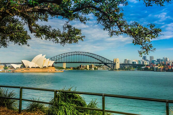 Morning or Afternoon Half-Day Sydney City Sightseeing Tour - Morning or afternoon: which departure is better?