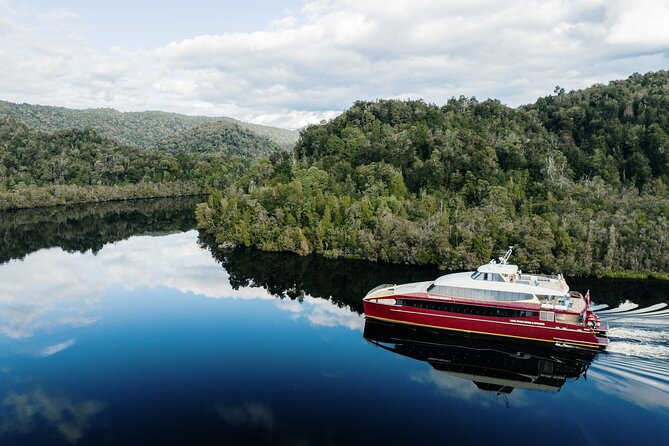 Morning World Heritage Cruise on the Gordon River from Strahan - Key points to know before you book