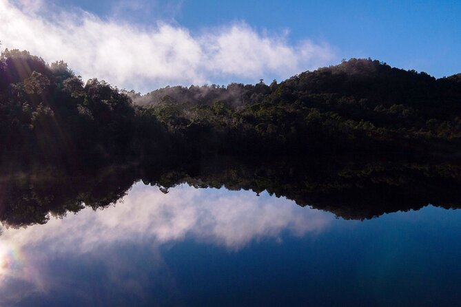 Morning World Heritage Cruise on the Gordon River from Strahan - The Gordon River and its ancient rainforest