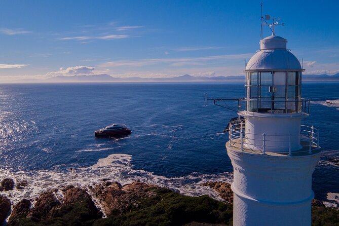 Morning World Heritage Cruise on the Gordon River from Strahan - Is $111.17 good value for six hours?