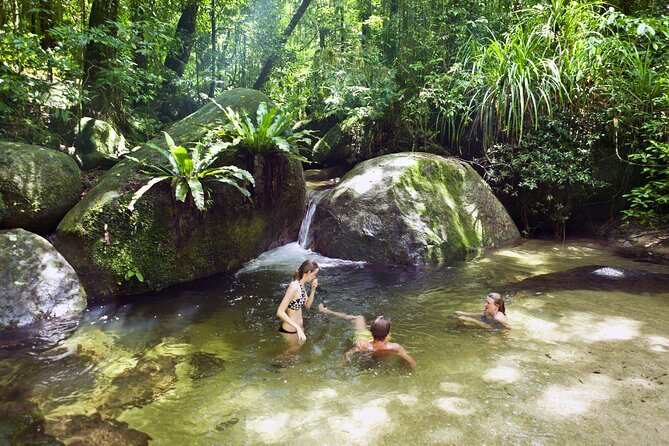Mossman Gorge Daintree Experience Small Groups - Morning tea and the one-hour crocodile cruise