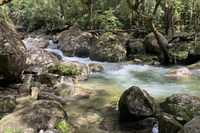 Mossman Gorge Daintree Experience Small Groups - The drive back and Rex Lookout