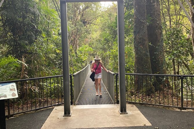 Mossman Gorge Daintree Experience Small Groups - Who will enjoy this small-group day