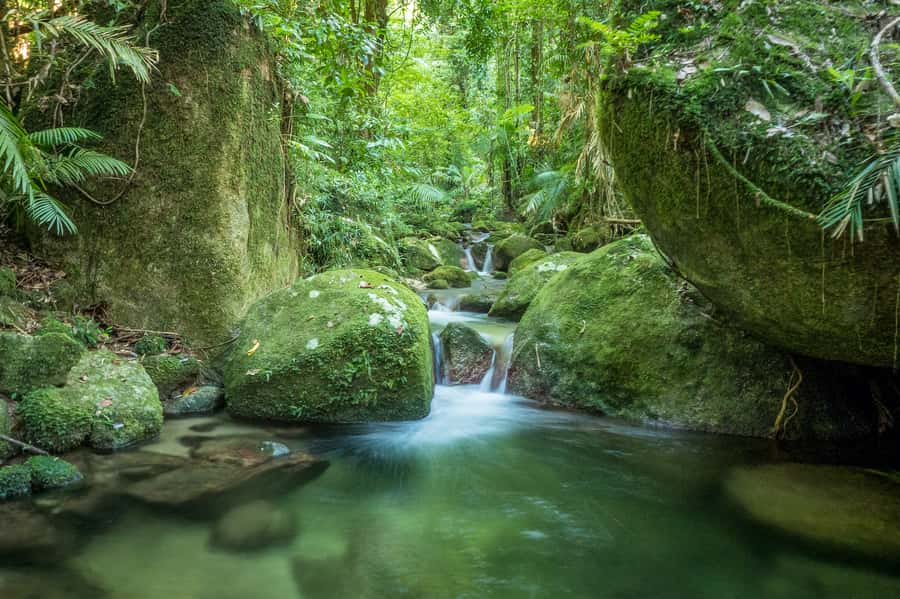 Mossman Gorge: Day Tour with River Drift Experience - Practical preparation for the day