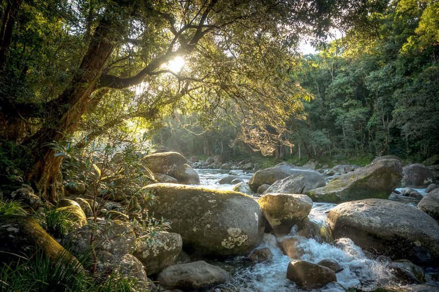 Mossman Gorge: Day Tour with River Drift Experience - Lunch in Mossman breaks up the action