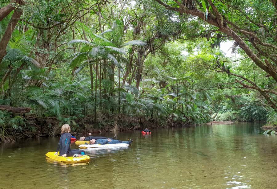 Mossman Gorge: Day Tour with River Drift Experience - Walking Mossman Gorge with a guide