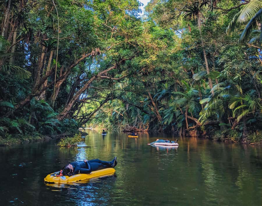 Mossman Gorge: Day Tour with River Drift Experience - What the small group changes