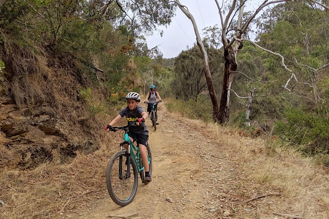 Mount Lofty Descent Bike Tour from Adelaide - What the equipment and guidance add
