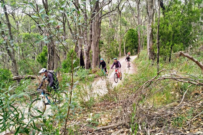 Mount Lofty Descent Bike Tour from Adelaide - Is the $128.39 price good value?