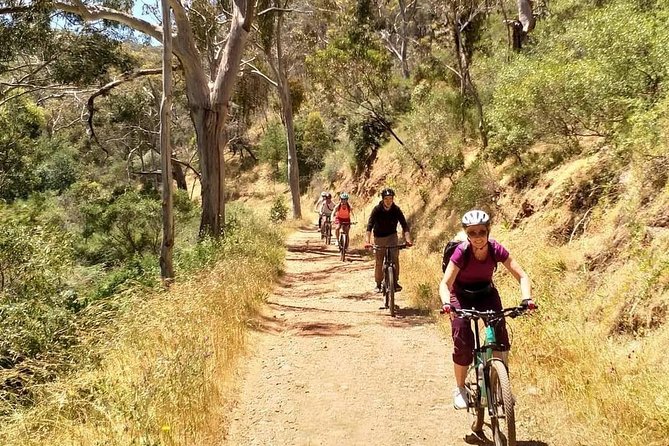 Mount Lofty Descent Bike Tour from Adelaide - Cleland Conservation Park and the wildlife stop