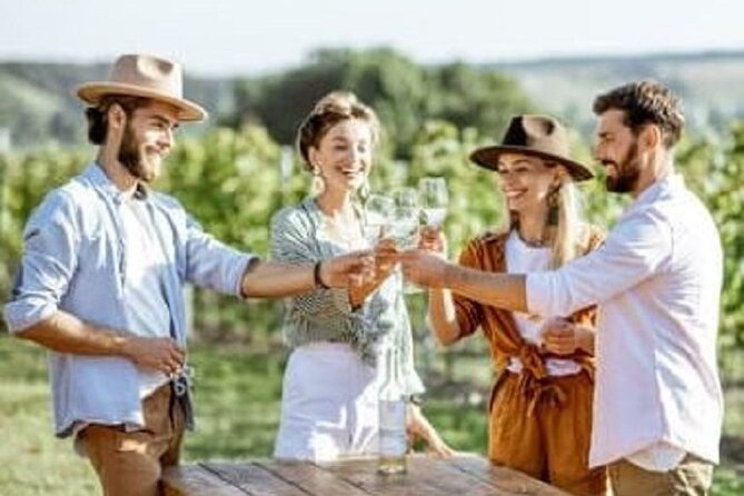 Mount Tamborine Deluxe Wine Tasting with Two Course Lunch - From Brisbane to the Mount Tamborine wine trail