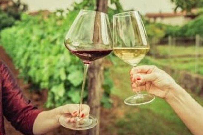 Mount Tamborine Deluxe Wine Tasting with Two Course Lunch - Who will enjoy this day most