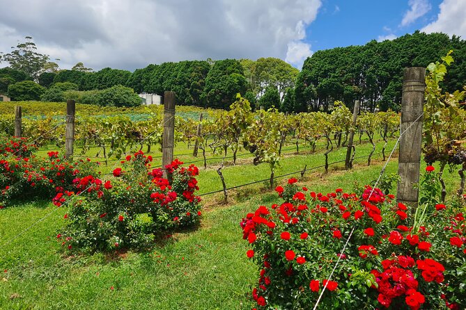 Mount Tamborine Wine Tasting Tour from Brisbane or the Gold Coast - The guides make a real difference