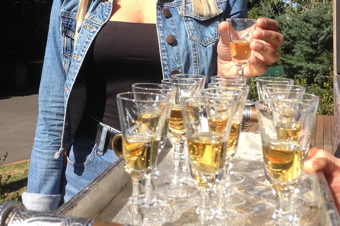 Mount Tamborine Wine Tasting Tour from Brisbane or the Gold Coast - Who will enjoy this Mt Tamborine outing