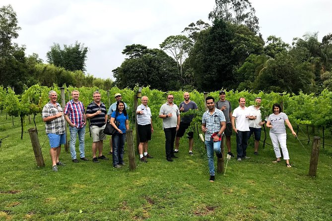 Mount Tamborine Winery Tour with Gourmet lunch - Group size, guides, and the feel of the day