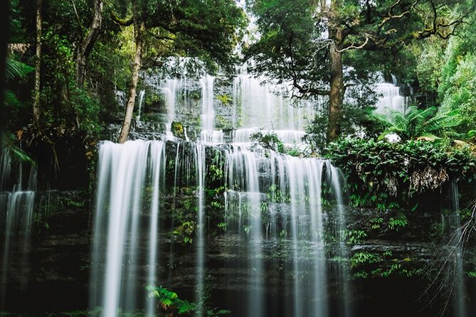 Mt Field National Park and Russell Falls from Hobart - Why this Hobart day trip works
