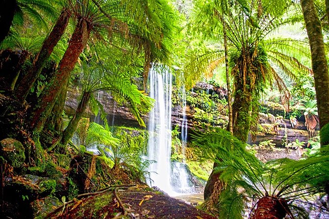 Mt Field National Park and Russell Falls from Hobart - Tall Trees Trail puts Tasmania’s forest in perspective