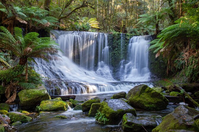 Mt Field National Park and Russell Falls from Hobart - Salmon Ponds starts the day gently