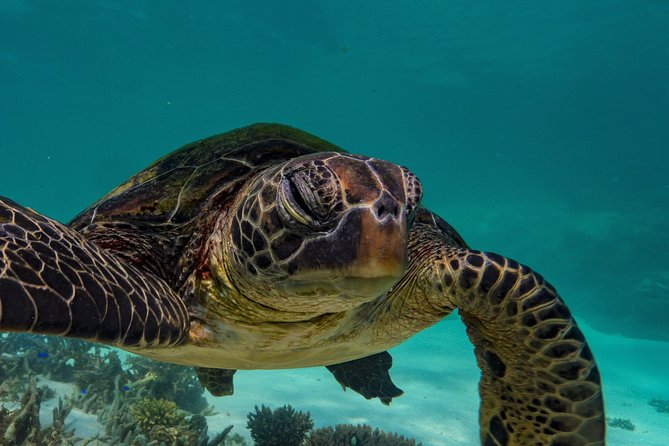 Muiron Island Diving Tour - Lunch, snacks, and the second site
