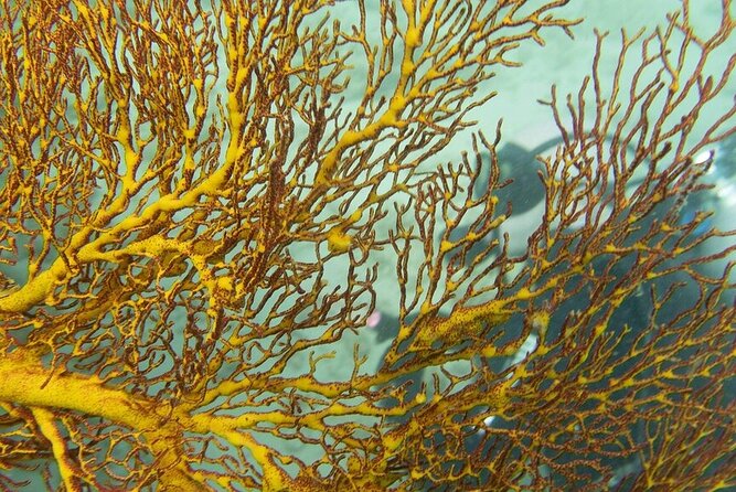 Muiron Island Diving Tour - A closer look at the price