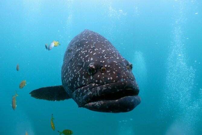 Muiron Islands Snorkeling in Exmouth - A second site can change the whole day