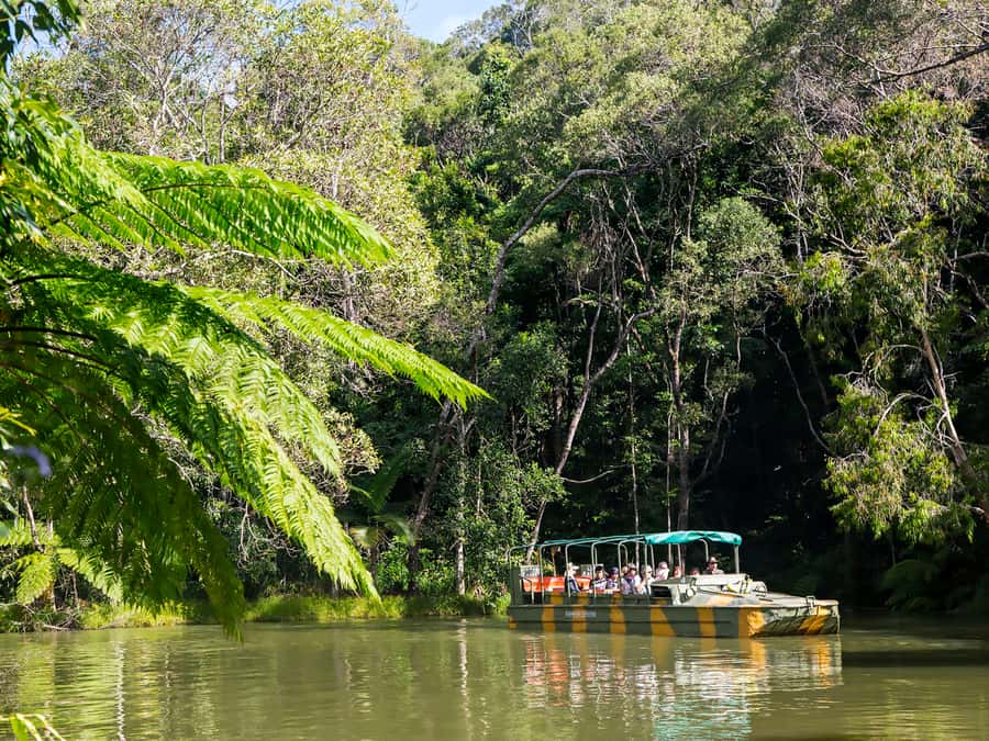 N. Queensland: Kuranda Rainforest Full-Day Tour - Why Kuranda works as a full-day outing
