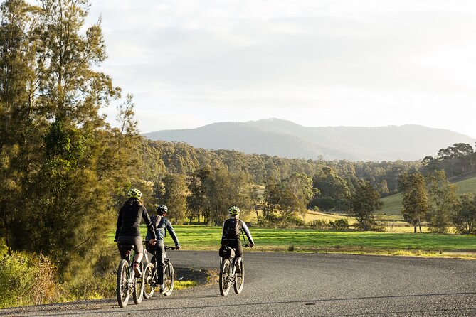 Narooma - E-Bike Hire 2 Hour Rental - What fits into a two-hour rental