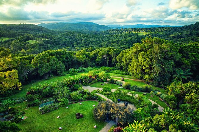 Near Gold Coast: Crystal Castle Admission Ticket - Key points before you book