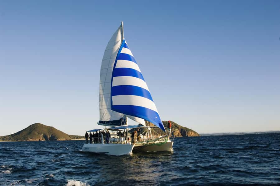 Nelson Bay: Dolphin Watch Cruise and Sail - Key points to know before you book