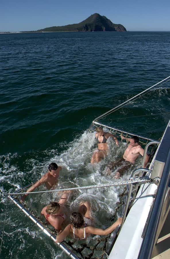 Nelson Bay: Dolphin Watch Cruise and Sail - Should you book the Imagine dolphin cruise?