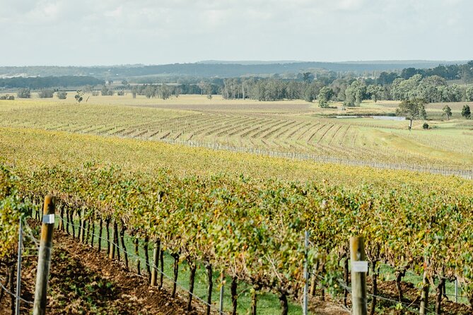 Newcastle: Boutique Hunter Valley Wine Tour - Hunter Wine Lab finishes with food and wine