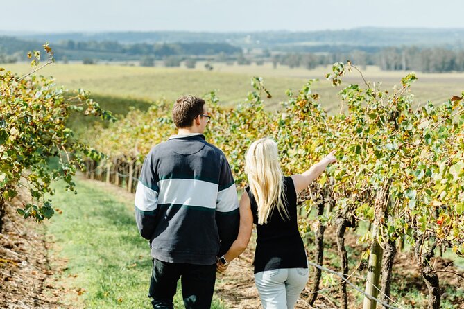 Newcastle: Boutique Hunter Valley Wine Tour - A maximum of 11 people changes the day
