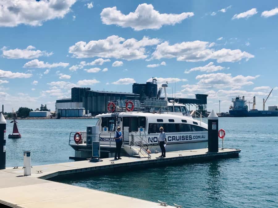 Newcastle: Humpback Whale Watching Cruise and Harbor Tour - Timing, cancellation, and the whale guarantee