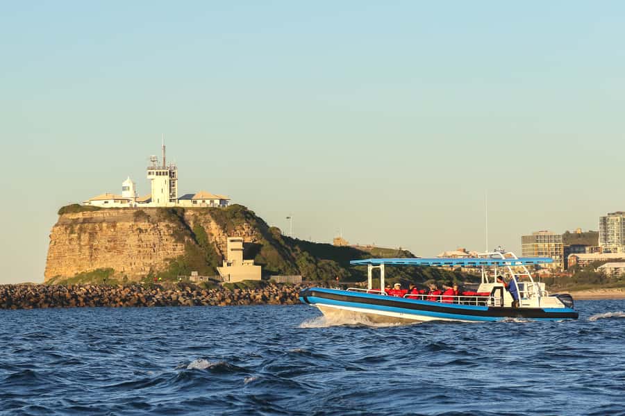 Newcastle: Small Group Humpback Whale Encounter Tour - Boat comfort, space and the real feel of the cruise