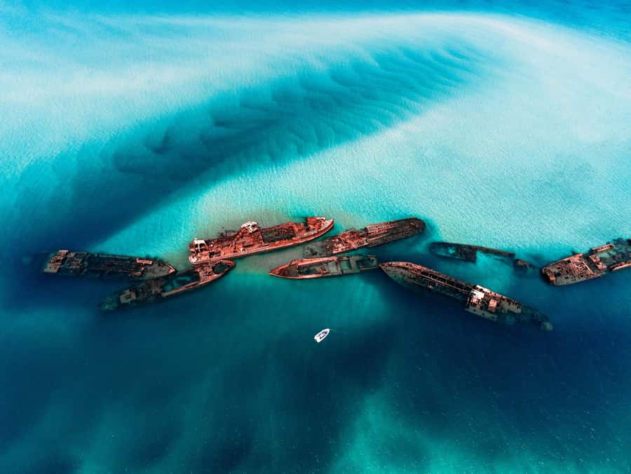 Newport: Moreton Island Snorkeling Tour with Lunch - Key points to know before booking