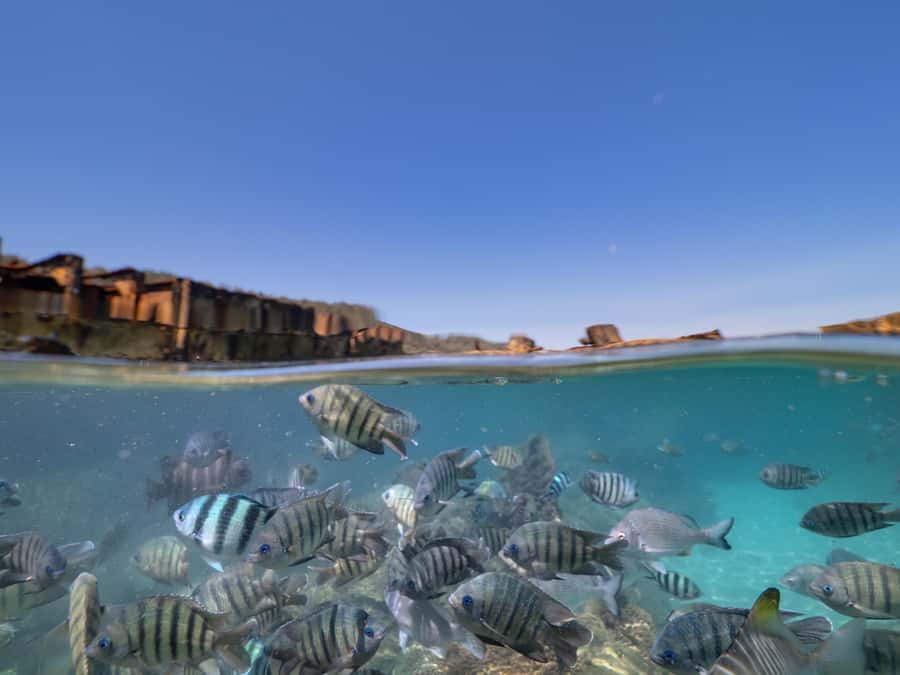 Newport: Moreton Island Snorkeling Tour with Lunch - Sailing from Newport to Moreton Island
