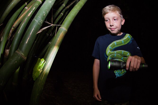 Night Walk in Cairns Botanic Gardens - Let's Go Buggin - Why the guide matters more than the equipment