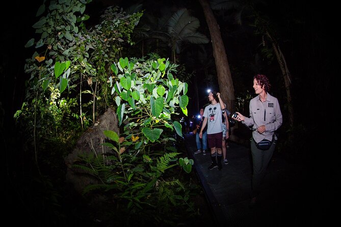 Night Walk in Cairns Botanic Gardens - Let's Go Buggin - Price, group size, and overall value