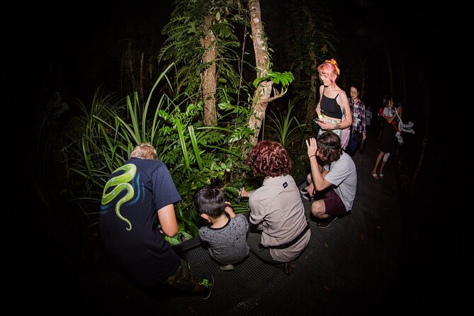 Night Walk in Cairns Botanic Gardens - Let's Go Buggin - Who will enjoy this Cairns night walk